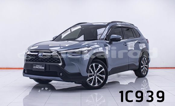 ボタン IMG_6808-scaled.webp