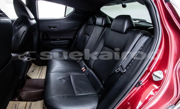 Buy Used Toyota C-HR Red Car in Bangkok in Bangkok Buy Used Toyota C-HR Red Car in Bangkok in Bangkok