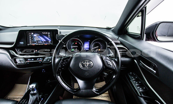 Buy Used Toyota C-HR Red Car in Bangkok in Bangkok Buy Used Toyota C-HR Red Car in Bangkok in Bangkok