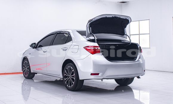 Buy Used Toyota Altis Other Car in Bangkok in Bangkok Buy Used Toyota Altis Other Car in Bangkok in Bangkok