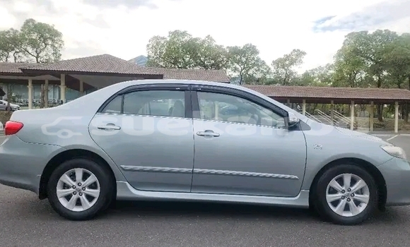 ซื้อ รถมือสอง Toyota Corolla อื่น ๆ รถยนต์ ใน %{เมือง} ใน ชัยนาท ซื้อ รถมือสอง Toyota Corolla อื่น ๆ รถยนต์ ใน %{เมือง} ใน ชัยนาท