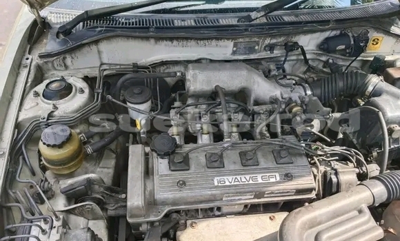 ซื้อ รถมือสอง Toyota Corolla อื่น ๆ รถยนต์ ใน %{เมือง} ใน ชัยนาท ซื้อ รถมือสอง Toyota Corolla อื่น ๆ รถยนต์ ใน %{เมือง} ใน ชัยนาท