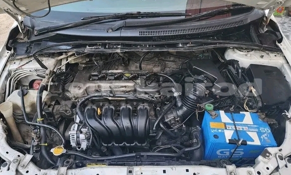 Buy Used Toyota Altis White Car in Kanchanaburi in Kanchanaburi Buy Used Toyota Altis White Car in Kanchanaburi in Kanchanaburi