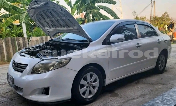 Buy Used Toyota Altis White Car in Kanchanaburi in Kanchanaburi Buy Used Toyota Altis White Car in Kanchanaburi in Kanchanaburi