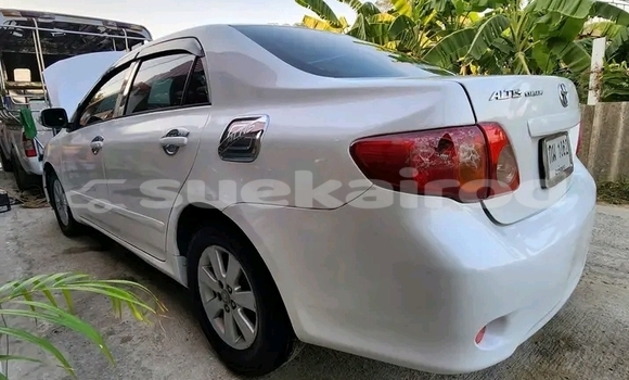 Buy Used Toyota Altis White Car in Kanchanaburi in Kanchanaburi Buy Used Toyota Altis White Car in Kanchanaburi in Kanchanaburi