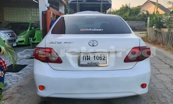 Buy Used Toyota Altis White Car in Kanchanaburi in Kanchanaburi Buy Used Toyota Altis White Car in Kanchanaburi in Kanchanaburi