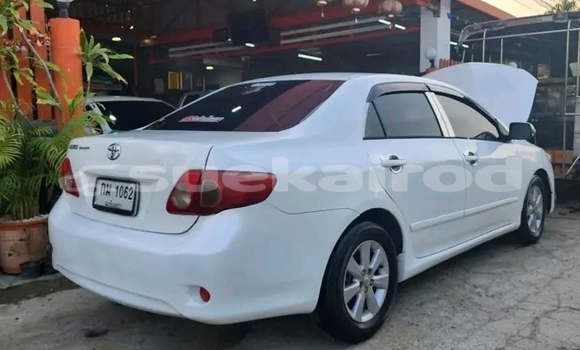 Buy Used Toyota Altis White Car in Kanchanaburi in Kanchanaburi Buy Used Toyota Altis White Car in Kanchanaburi in Kanchanaburi