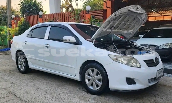 Buy Used Toyota Altis White Car in Kanchanaburi in Kanchanaburi Buy Used Toyota Altis White Car in Kanchanaburi in Kanchanaburi