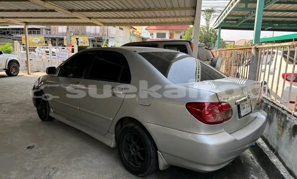 ซื้อ รถมือสอง Toyota Altis อื่น ๆ รถยนต์ ใน %{เมือง} ใน ชัยนาท ซื้อ รถมือสอง Toyota Altis อื่น ๆ รถยนต์ ใน %{เมือง} ใน ชัยนาท