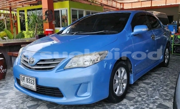ซื้อ รถมือสอง Toyota Altis สีน้ำเงิน รถยนต์ ใน %{เมือง} ใน กาฬสินธุ์ ซื้อ รถมือสอง Toyota Altis สีน้ำเงิน รถยนต์ ใน %{เมือง} ใน กาฬสินธุ์