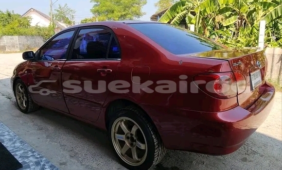 ซื้อ รถมือสอง Toyota Altis สีแดง รถยนต์ ใน %{เมือง} ใน ชัยภูมิ ซื้อ รถมือสอง Toyota Altis สีแดง รถยนต์ ใน %{เมือง} ใน ชัยภูมิ