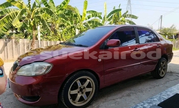 ซื้อ รถมือสอง Toyota Altis สีแดง รถยนต์ ใน %{เมือง} ใน ชัยภูมิ ซื้อ รถมือสอง Toyota Altis สีแดง รถยนต์ ใน %{เมือง} ใน ชัยภูมิ