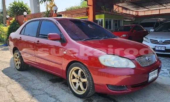 ซื้อ รถมือสอง Toyota Altis สีแดง รถยนต์ ใน %{เมือง} ใน ชัยภูมิ ซื้อ รถมือสอง Toyota Altis สีแดง รถยนต์ ใน %{เมือง} ใน ชัยภูมิ