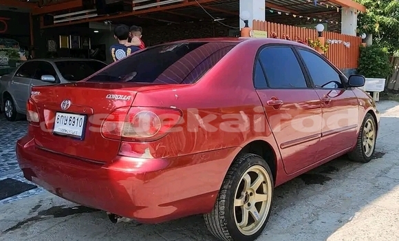 ซื้อ รถมือสอง Toyota Altis สีแดง รถยนต์ ใน %{เมือง} ใน ชัยภูมิ ซื้อ รถมือสอง Toyota Altis สีแดง รถยนต์ ใน %{เมือง} ใน ชัยภูมิ