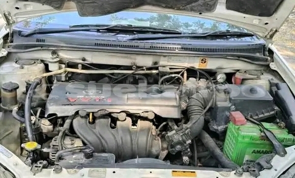 ซื้อ รถมือสอง Toyota Altis ขาว รถยนต์ ใน %{เมือง} ใน ฉะเชิงเทรา ซื้อ รถมือสอง Toyota Altis ขาว รถยนต์ ใน %{เมือง} ใน ฉะเชิงเทรา