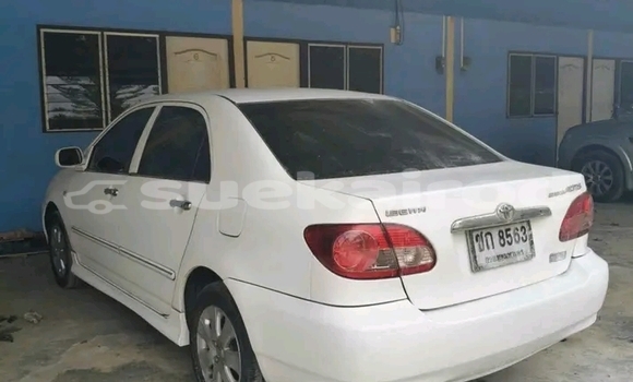 ซื้อ รถมือสอง Toyota Altis ขาว รถยนต์ ใน %{เมือง} ใน ฉะเชิงเทรา ซื้อ รถมือสอง Toyota Altis ขาว รถยนต์ ใน %{เมือง} ใน ฉะเชิงเทรา