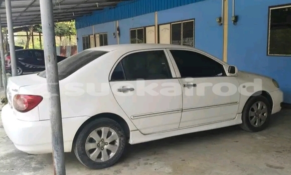 ซื้อ รถมือสอง Toyota Altis ขาว รถยนต์ ใน %{เมือง} ใน ฉะเชิงเทรา ซื้อ รถมือสอง Toyota Altis ขาว รถยนต์ ใน %{เมือง} ใน ฉะเชิงเทรา