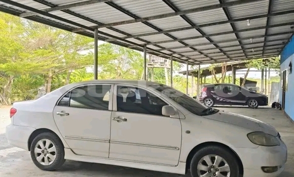 ซื้อ รถมือสอง Toyota Altis ขาว รถยนต์ ใน %{เมือง} ใน ฉะเชิงเทรา ซื้อ รถมือสอง Toyota Altis ขาว รถยนต์ ใน %{เมือง} ใน ฉะเชิงเทรา