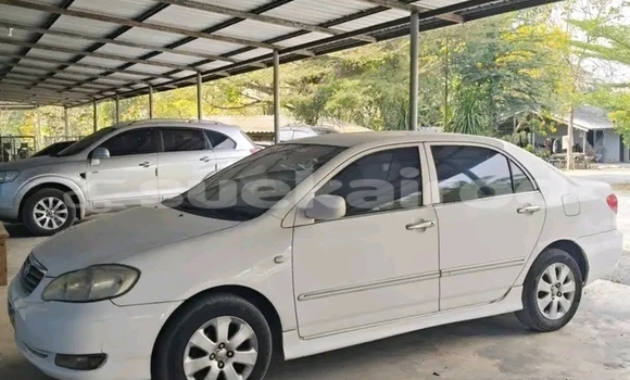 ซื้อ รถมือสอง Toyota Altis ขาว รถยนต์ ใน %{เมือง} ใน ฉะเชิงเทรา ซื้อ รถมือสอง Toyota Altis ขาว รถยนต์ ใน %{เมือง} ใน ฉะเชิงเทรา