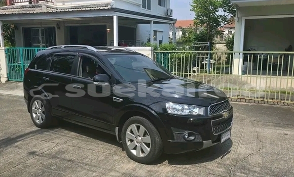 ซื้อ รถมือสอง Chevrolet Captiva สีดำ รถยนต์ ใน %{เมือง} ใน กำแพงเพชร ซื้อ รถมือสอง Chevrolet Captiva สีดำ รถยนต์ ใน %{เมือง} ใน กำแพงเพชร
