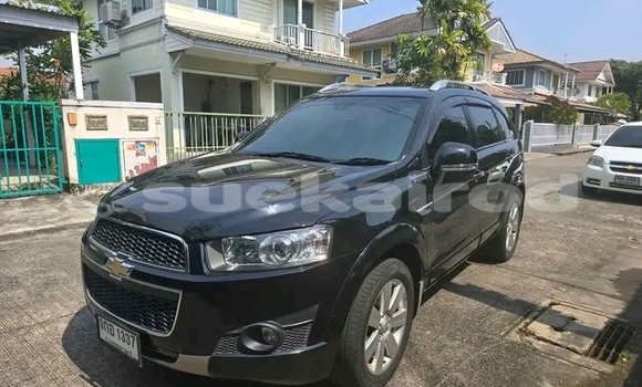 ซื้อ รถมือสอง Chevrolet Captiva สีดำ รถยนต์ ใน %{เมือง} ใน กำแพงเพชร ซื้อ รถมือสอง Chevrolet Captiva สีดำ รถยนต์ ใน %{เมือง} ใน กำแพงเพชร