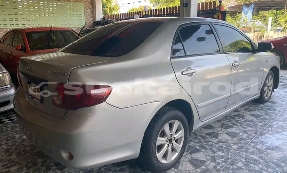 Buy Used Toyota Altis Other Car in Chai Nat in Chai Nat Buy Used Toyota Altis Other Car in Chai Nat in Chai Nat