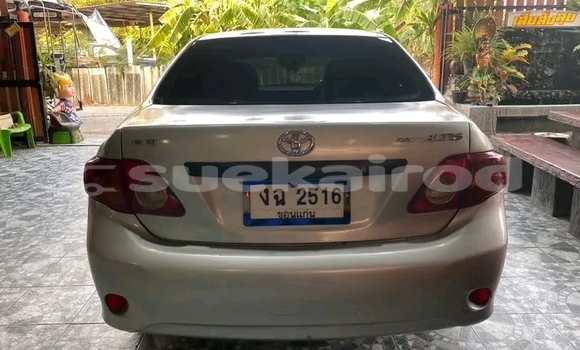 Buy Used Toyota Altis Other Car in Chai Nat in Chai Nat Buy Used Toyota Altis Other Car in Chai Nat in Chai Nat