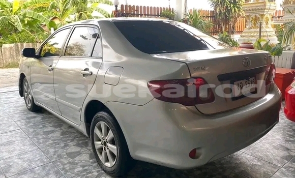 Buy Used Toyota Altis Other Car in Chai Nat in Chai Nat Buy Used Toyota Altis Other Car in Chai Nat in Chai Nat
