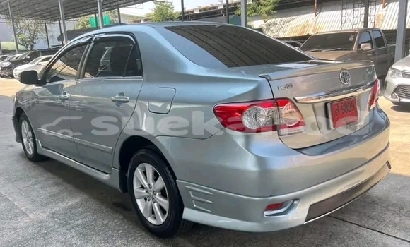 Buy Used Toyota Altis Other Car in Chaiyaphum in Chaiyaphum Buy Used Toyota Altis Other Car in Chaiyaphum in Chaiyaphum