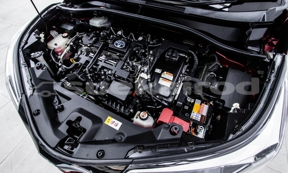 ซื้อ รถมือสอง Toyota C-HR สีแดง รถยนต์ ใน %{เมือง} ใน นนทบุรี ซื้อ รถมือสอง Toyota C-HR สีแดง รถยนต์ ใน %{เมือง} ใน นนทบุรี