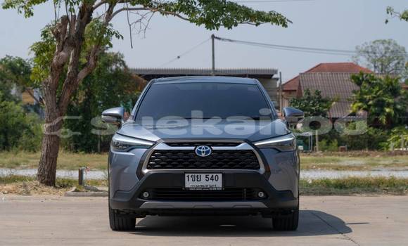 Buy Used Toyota Corolla Cross Other Car in Nonthaburi in Nonthaburi Buy Used Toyota Corolla Cross Other Car in Nonthaburi in Nonthaburi