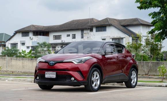 Buy Used Toyota C-HR Red Car in Bangkok in Bangkok