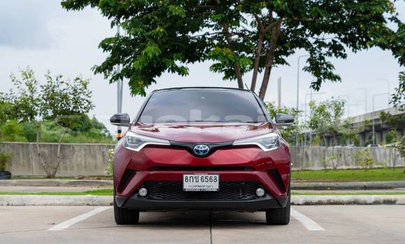 ซื้อ รถมือสอง Toyota C-HR สีแดง รถยนต์ ใน %{เมือง} ใน กรุงเทพมหานคร ซื้อ รถมือสอง Toyota C-HR สีแดง รถยนต์ ใน %{เมือง} ใน กรุงเทพมหานคร