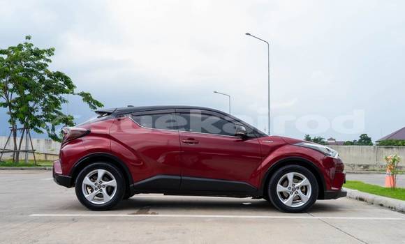 ซื้อ รถมือสอง Toyota C-HR สีแดง รถยนต์ ใน %{เมือง} ใน กรุงเทพมหานคร ซื้อ รถมือสอง Toyota C-HR สีแดง รถยนต์ ใน %{เมือง} ใน กรุงเทพมหานคร