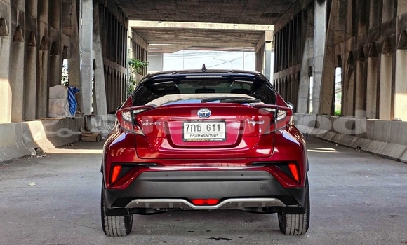 Buy Used Toyota C-HR Red Car in Nonthaburi in Nonthaburi Buy Used Toyota C-HR Red Car in Nonthaburi in Nonthaburi