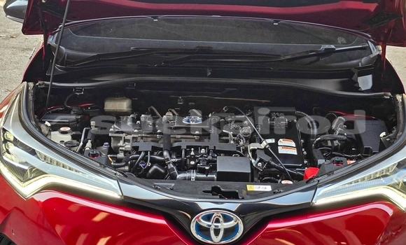 Buy Used Toyota C-HR Red Car in Nonthaburi in Nonthaburi Buy Used Toyota C-HR Red Car in Nonthaburi in Nonthaburi