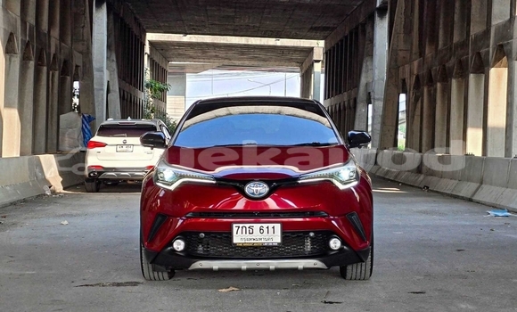 Buy Used Toyota C-HR Red Car in Nonthaburi in Nonthaburi Buy Used Toyota C-HR Red Car in Nonthaburi in Nonthaburi