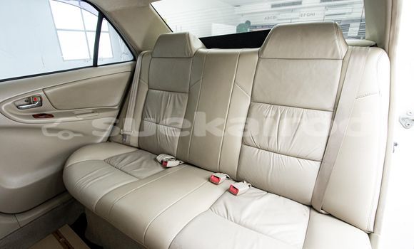 Buy Used Toyota Vios Other Car in Bangkok in Bangkok Buy Used Toyota Vios Other Car in Bangkok in Bangkok