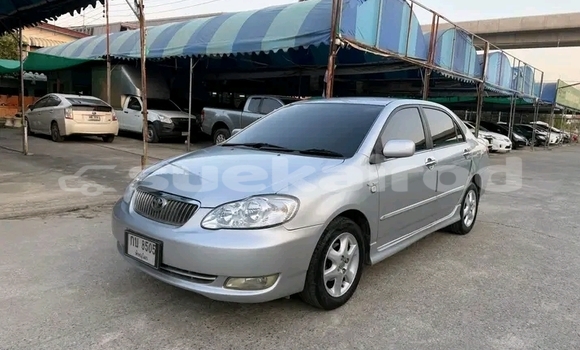 ซื้อ รถมือสอง Toyota Corolla อื่น ๆ รถยนต์ ใน %{เมือง} ใน ชัยนาท ซื้อ รถมือสอง Toyota Corolla อื่น ๆ รถยนต์ ใน %{เมือง} ใน ชัยนาท