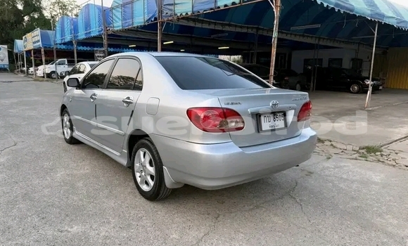 ซื้อ รถมือสอง Toyota Corolla อื่น ๆ รถยนต์ ใน %{เมือง} ใน ชัยนาท ซื้อ รถมือสอง Toyota Corolla อื่น ๆ รถยนต์ ใน %{เมือง} ใน ชัยนาท