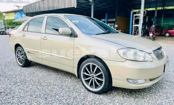 ซื้อ รถมือสอง Toyota Altis ขาว รถยนต์ ใน %{เมือง} ใน ชัยภูมิ ซื้อ รถมือสอง Toyota Altis ขาว รถยนต์ ใน %{เมือง} ใน ชัยภูมิ