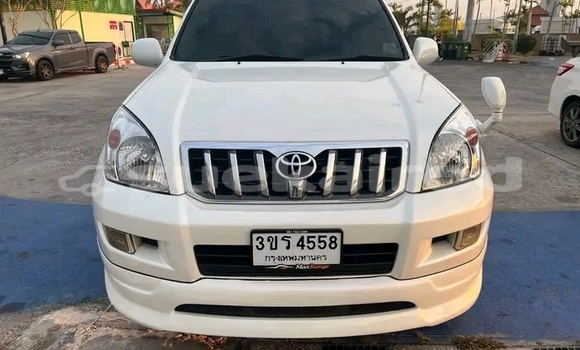 ซื้อ รถมือสอง Toyota Prado ขาว รถยนต์ ใน %{เมือง} ใน บึงกาฬ ซื้อ รถมือสอง Toyota Prado ขาว รถยนต์ ใน %{เมือง} ใน บึงกาฬ