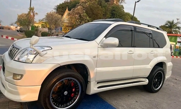 ซื้อ รถมือสอง Toyota Prado ขาว รถยนต์ ใน %{เมือง} ใน บึงกาฬ ซื้อ รถมือสอง Toyota Prado ขาว รถยนต์ ใน %{เมือง} ใน บึงกาฬ