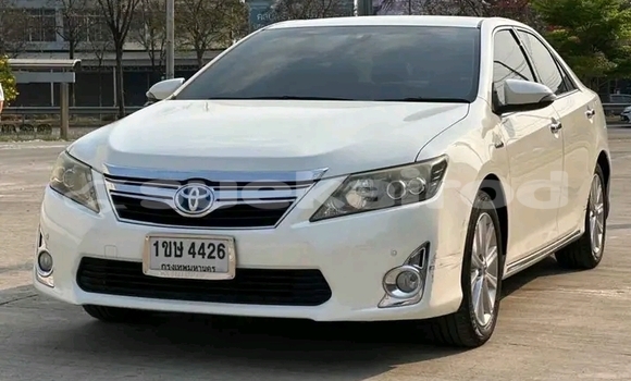 ซื้อ รถมือสอง Toyota Camry ขาว รถยนต์ ใน %{เมือง} ใน ชัยภูมิ ซื้อ รถมือสอง Toyota Camry ขาว รถยนต์ ใน %{เมือง} ใน ชัยภูมิ
