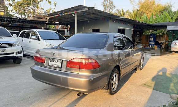 Buy Used Honda Accord Other Car in Bangkok in Bangkok Buy Used Honda Accord Other Car in Bangkok in Bangkok
