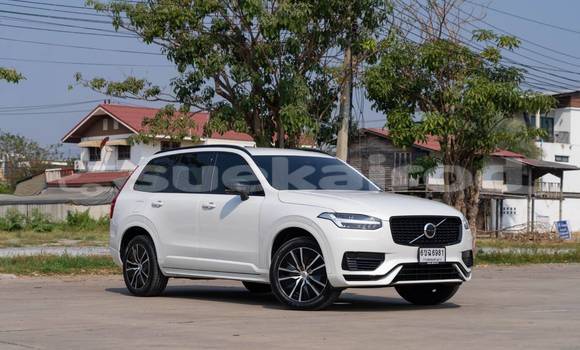 ซื้อ รถมือสอง Volvo XC90 ขาว รถยนต์ ใน %{เมือง} ใน นนทบุรี ซื้อ รถมือสอง Volvo XC90 ขาว รถยนต์ ใน %{เมือง} ใน นนทบุรี