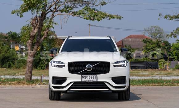 ซื้อ รถมือสอง Volvo XC90 ขาว รถยนต์ ใน %{เมือง} ใน นนทบุรี ซื้อ รถมือสอง Volvo XC90 ขาว รถยนต์ ใน %{เมือง} ใน นนทบุรี