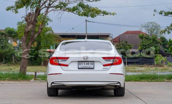 ซื้อ รถมือสอง Honda Accord ขาว รถยนต์ ใน %{เมือง} ใน นนทบุรี ซื้อ รถมือสอง Honda Accord ขาว รถยนต์ ใน %{เมือง} ใน นนทบุรี