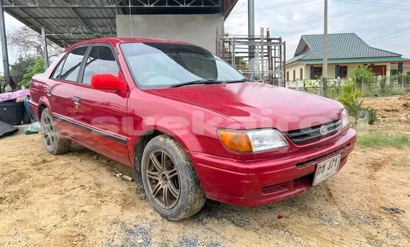 Buy Used Toyota Corolla Red Car in Chachoengsao in Chachoengsao Buy Used Toyota Corolla Red Car in Chachoengsao in Chachoengsao