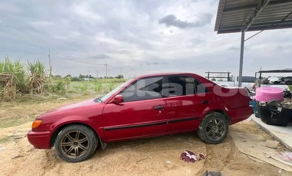 Buy Used Toyota Corolla Red Car in Chachoengsao in Chachoengsao Buy Used Toyota Corolla Red Car in Chachoengsao in Chachoengsao